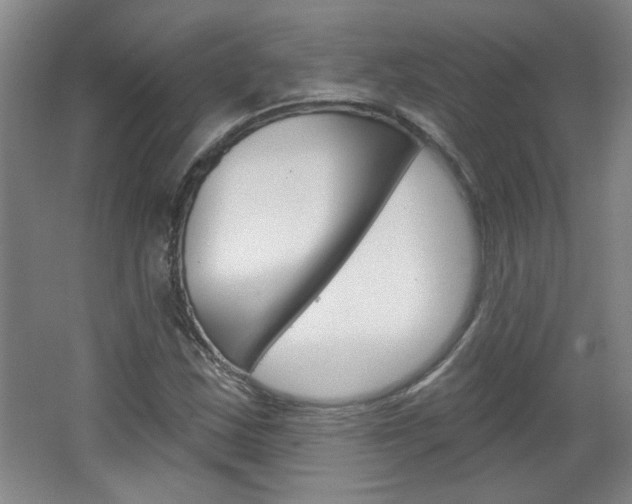 X0000064721163200602100924