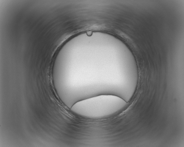 X0000064721170200602100924