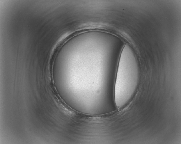 X0000064721172200602100924