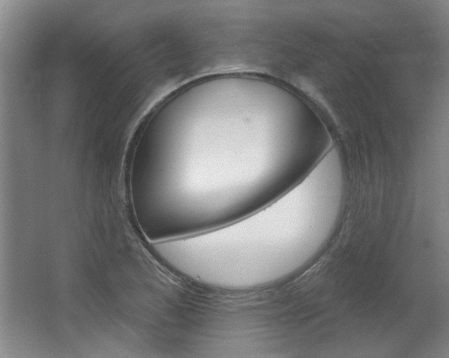 X0000064721173200602100924