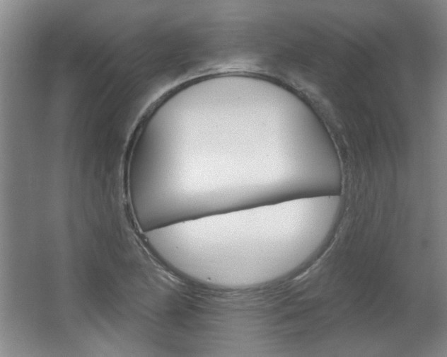 X0000064721174200602100924