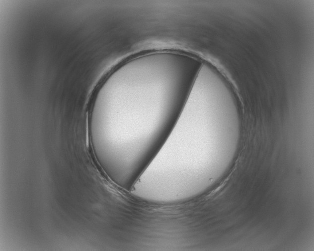 X0000064721175200602100924