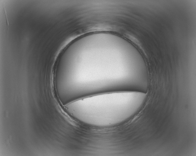X0000064721179200602100924