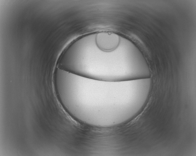 X0000064721182200602100924