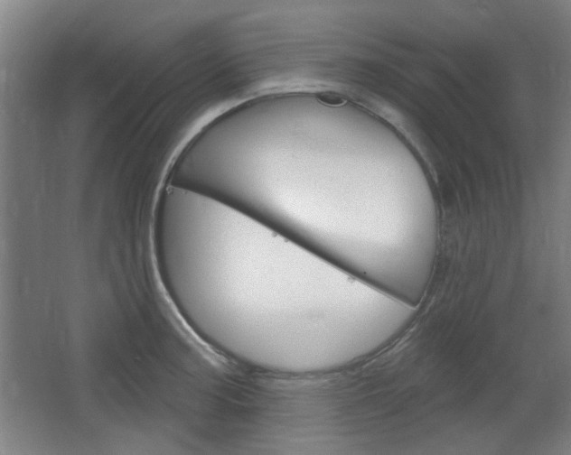 X0000064721187200602100924