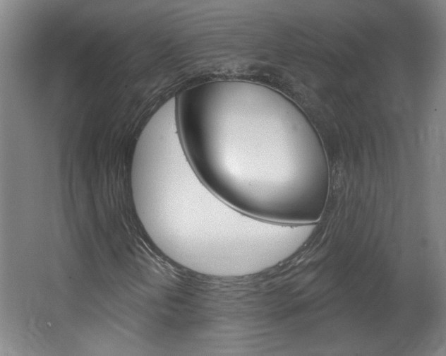 X0000064721202200602100923