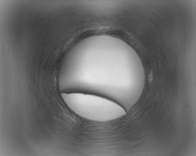 X0000064721204200602100923