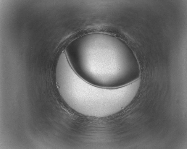X0000064721206200602100923