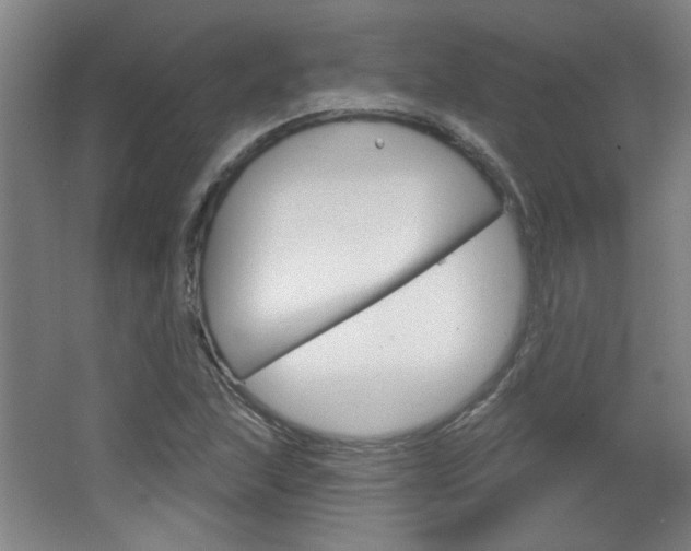 X0000064721215200602100923