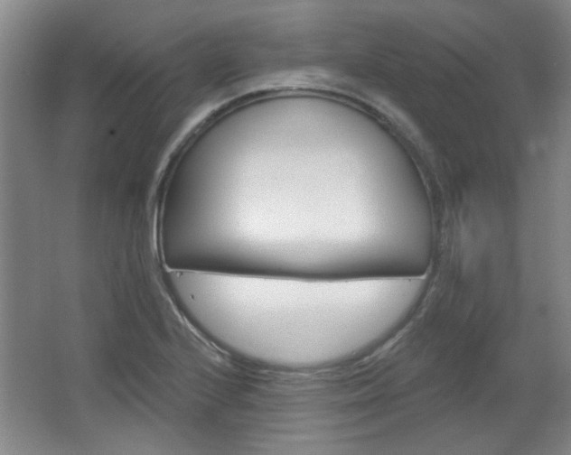 X0000064721224200602100923