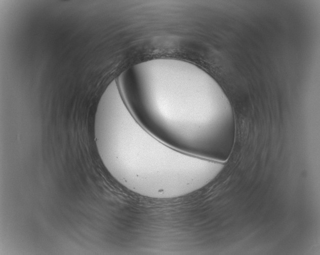 X0000064721250200602100923