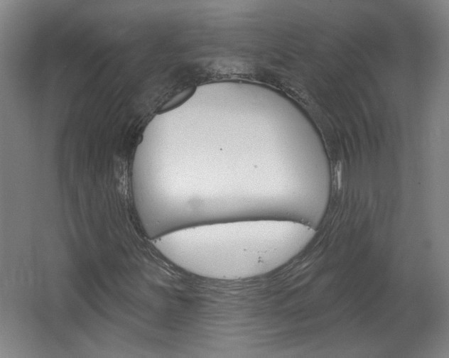 X0000064721251200602100923