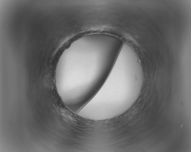 X0000064721256200602100923