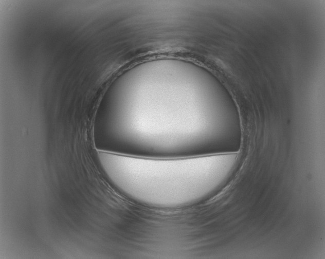 X0000064721257200602100923