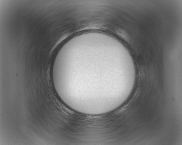 X0000064721258200602100923