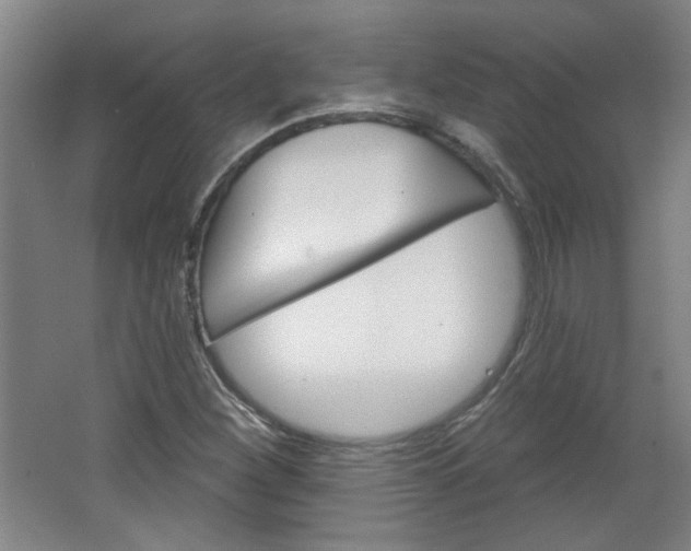 X0000064721260200602100923