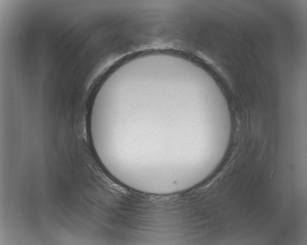 X0000064721262200602100923