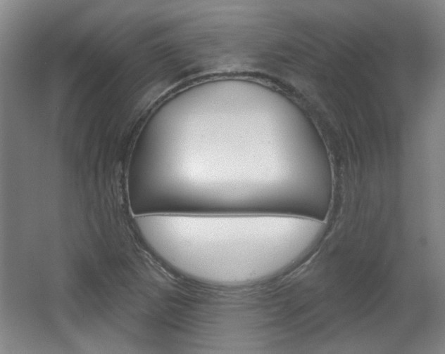 X0000064721265200602100922