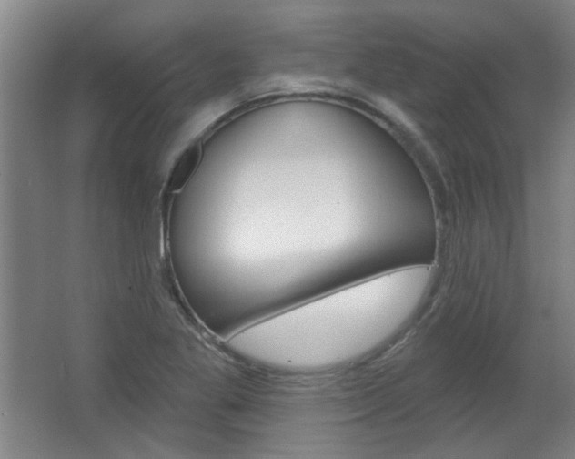 X0000064721269200602100922
