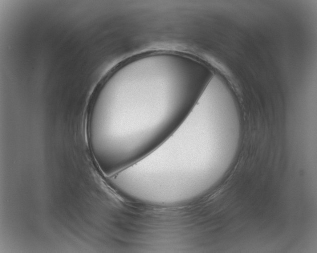 X0000064721272200602100922