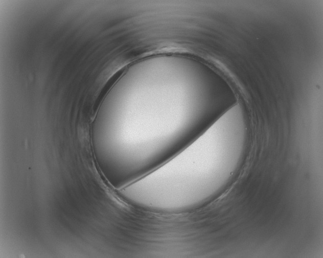 X0000064721281200602100922