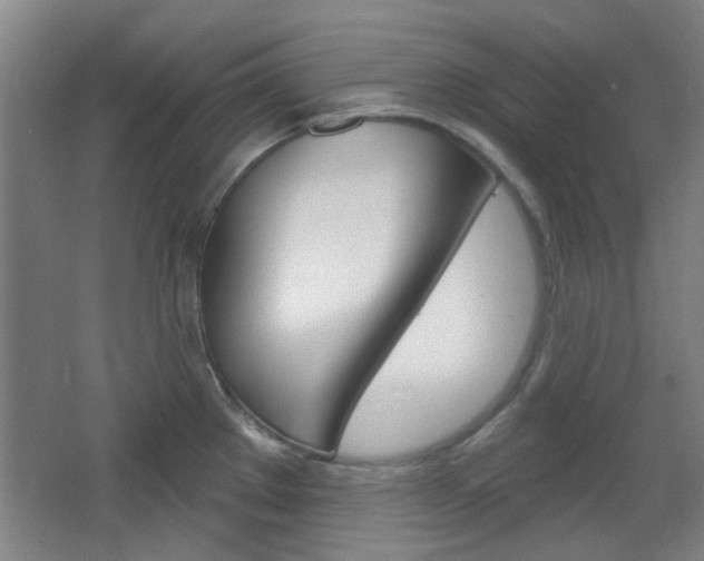 X0000064721289200602100922