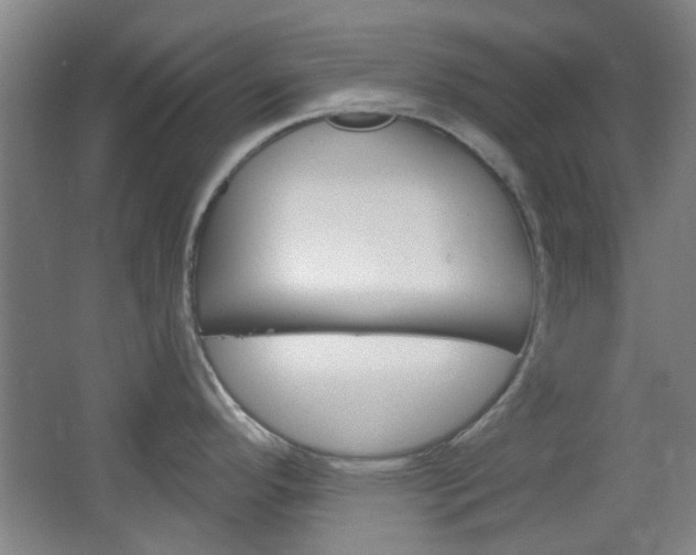 X0000064721296200602100922