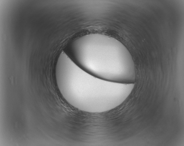 X0000064721297200602100921