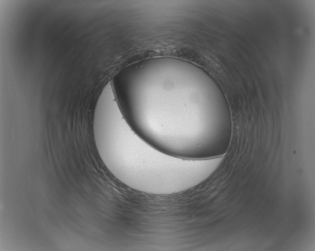 X0000064721298200602100921