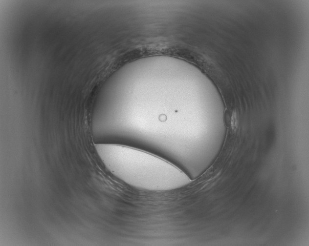 X0000064721299200602100921