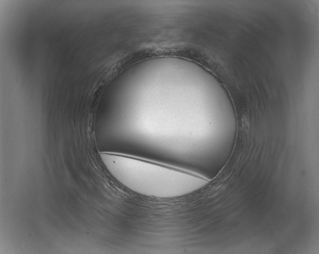 X0000064721300200602100921