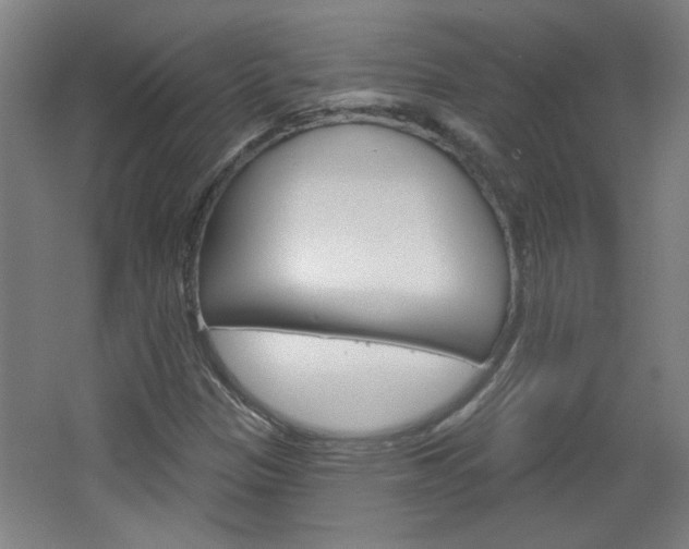 X0000064721305200602100921