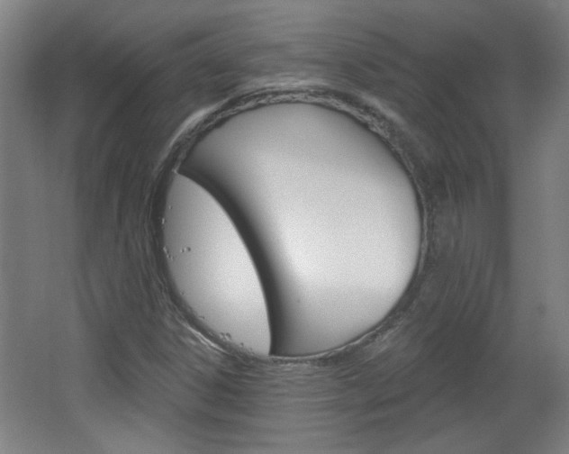 X0000064721306200602100921