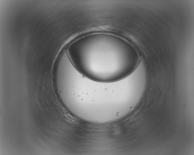 X0000064721308200602100921