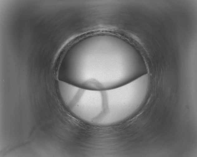 X0000064721310200602100921