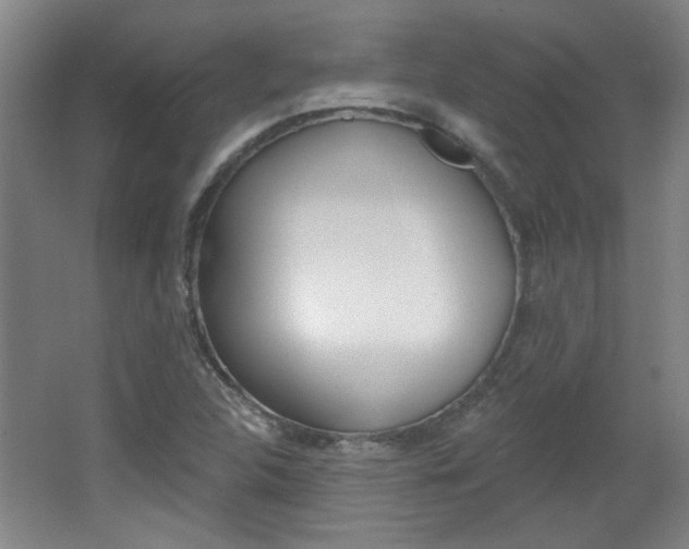 X0000064721312200602100921
