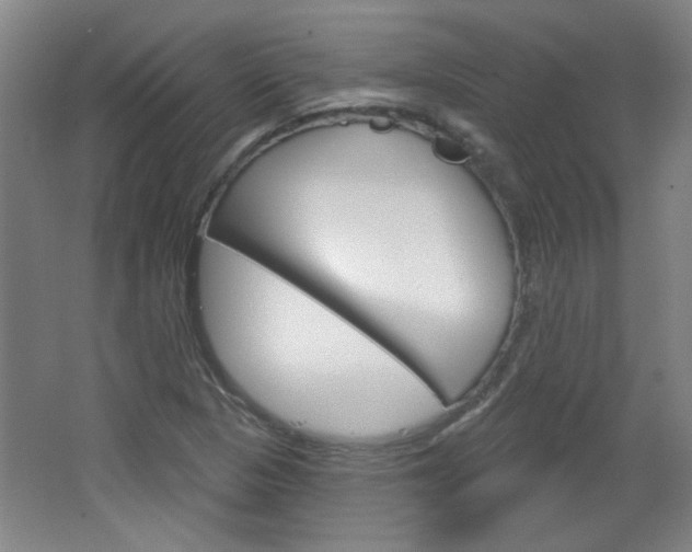 X0000064721313200602100921