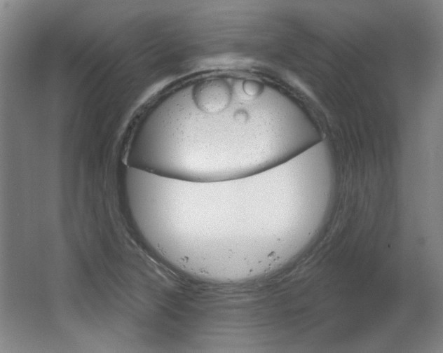 X0000064721315200602100921