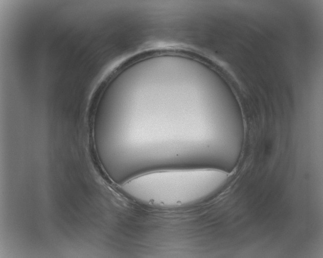 X0000064721319200602100922