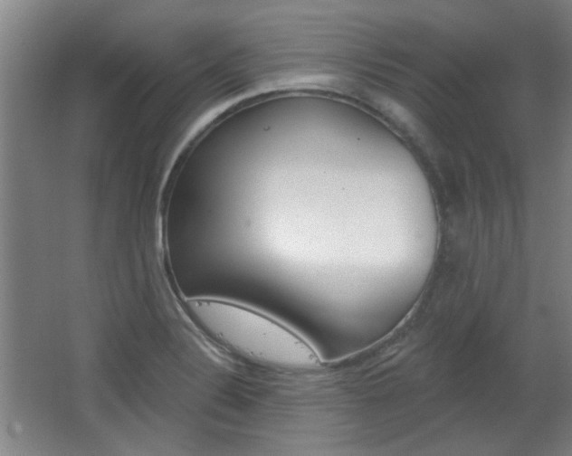 X0000064721324200602100922