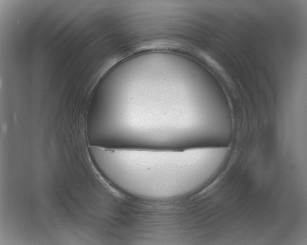X0000064721329200602100922