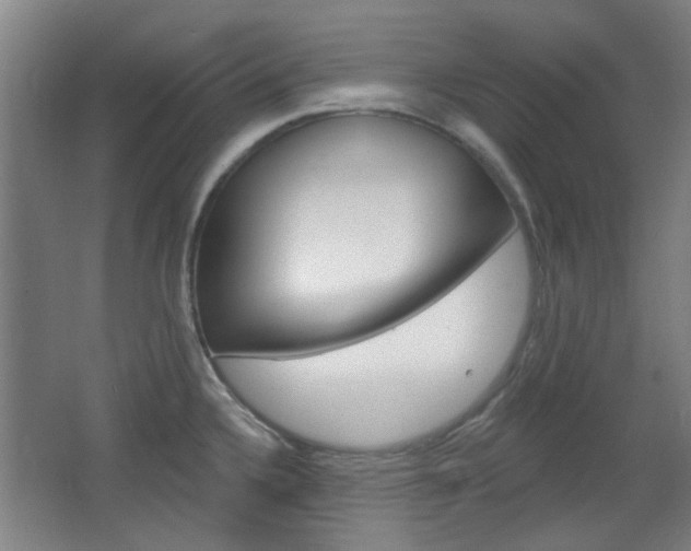X0000064721336200602100922