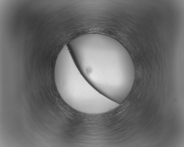 X0000064721346200602100921
