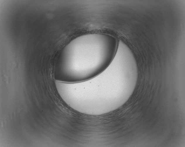 X0000064721348200602100921