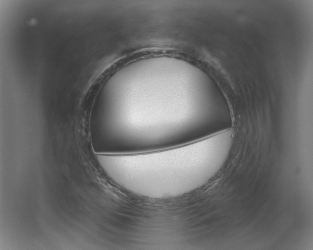 X0000064721352200602100921