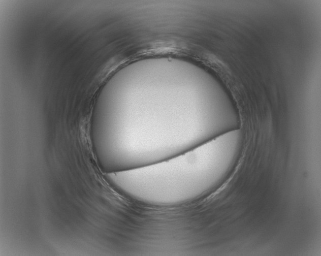 X0000064721353200602100921