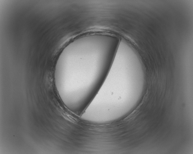 X0000064721355200602100921