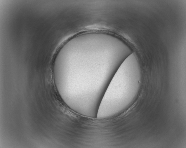 X0000064721358200602100921