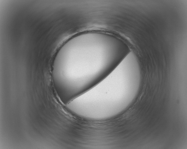 X0000064721363200602100921