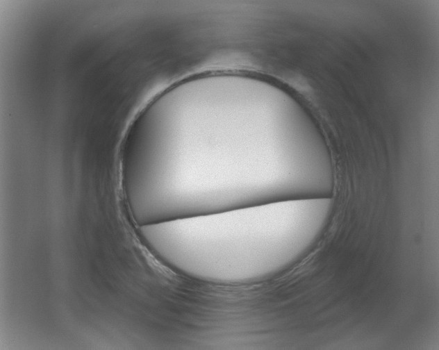 X0000064721366200602100921